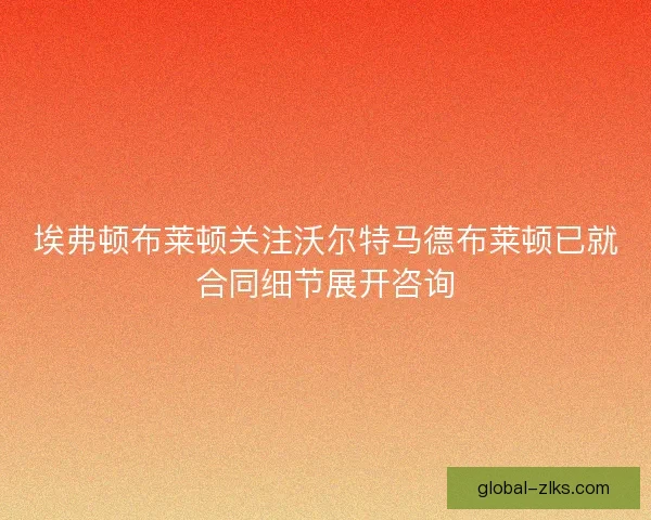 埃弗顿布莱顿关注沃尔特马德布莱顿已就合同细节展开咨询 埃弗顿布莱顿关注沃尔特马德布莱顿已就合同细节展开咨询